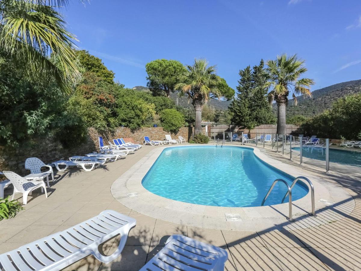 Amazing In Les Mimosas With Pool *